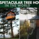 Top Spectacular Tree Houses in The World