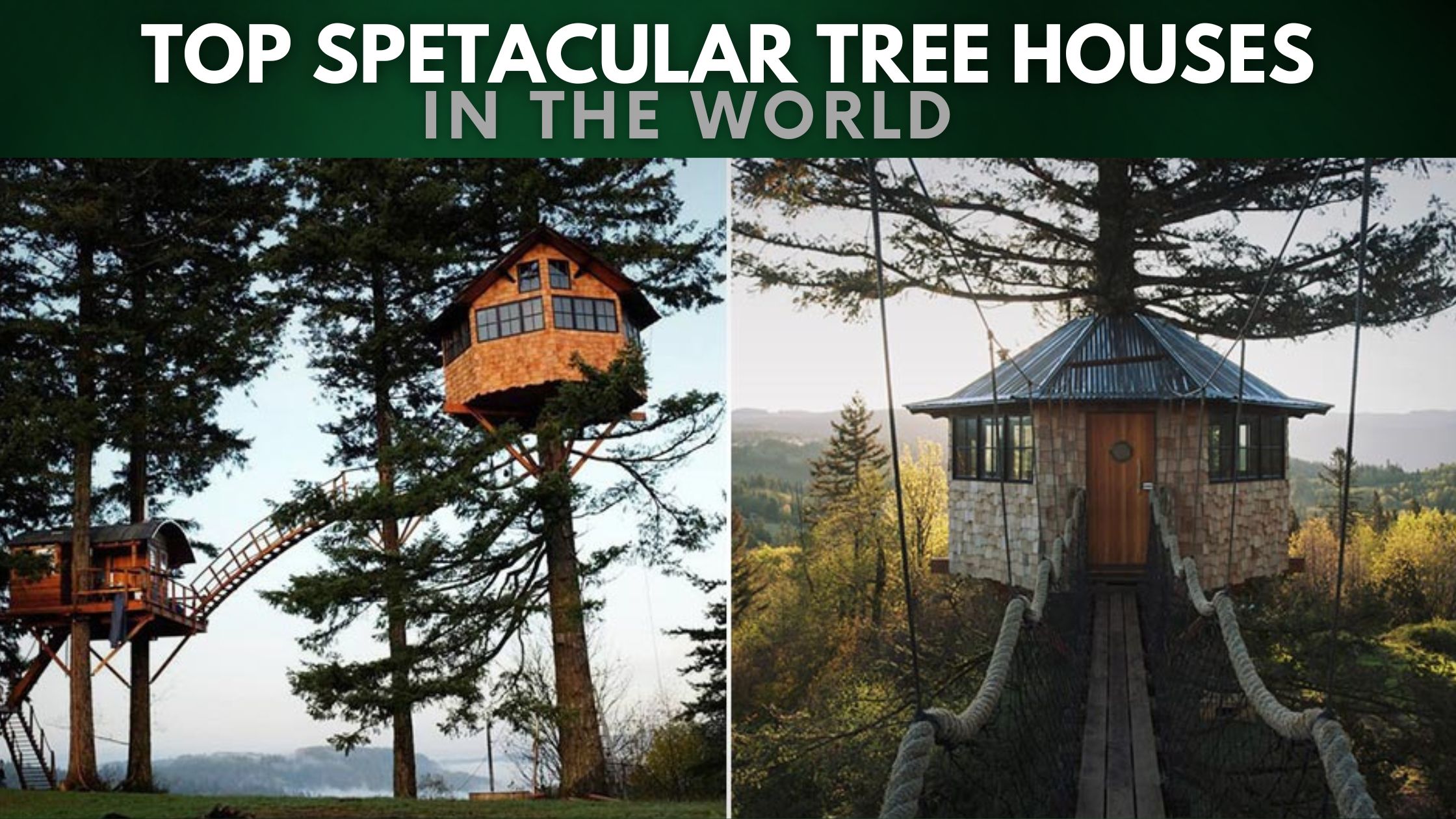 Top Spectacular Tree Houses in The World