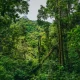 Top Exotic Cloud Forest Around The Globe