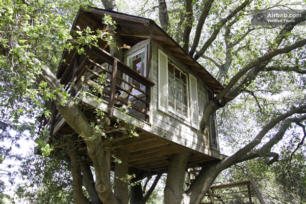 treehouse above