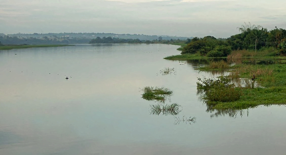 Top 10 Longest Rivers In Nigeria