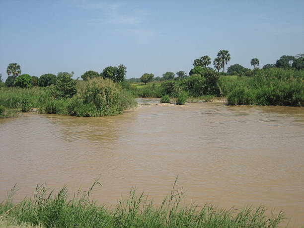 Top 10 Longest Rivers In Nigeria