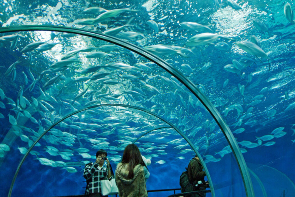 Shangbai one of the most amazing Aquariums In the world