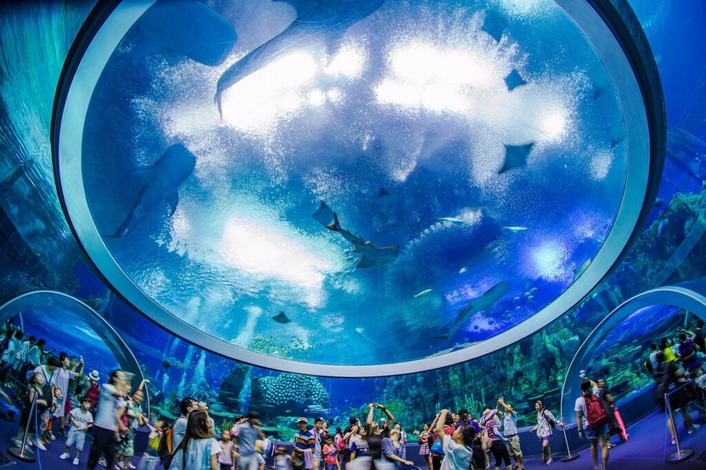 3. Chimelong Ocean Kingdom, China