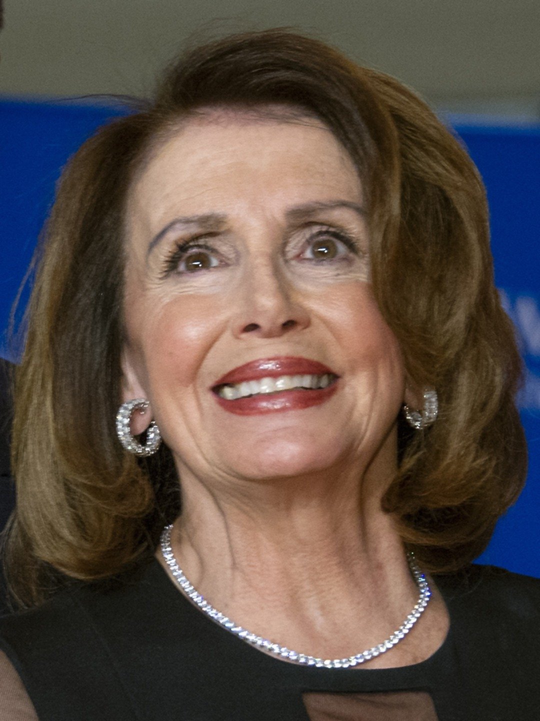 Nancy Pelosi Net Worth And Biography