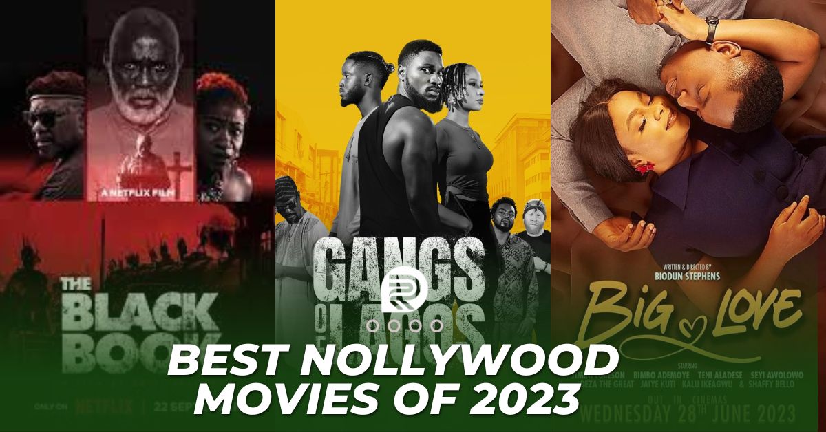 10 Best Nollywood Movies Of 2023