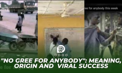 "No gree for anybody": Meaning, Origin and Viral Success