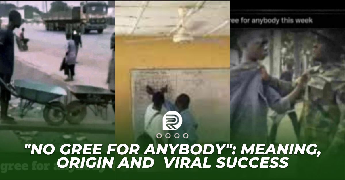 "No gree for anybody": Meaning, Origin and Viral Success