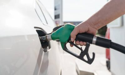 Ban on Petrol Exports Reintroduced in Russia, Effective till end of 2024