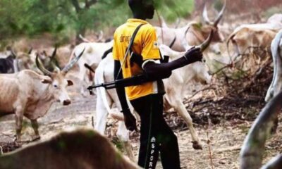 Police Issues Strong Warning to Herdsmen and Youths Over Killings and Arson In Ondo