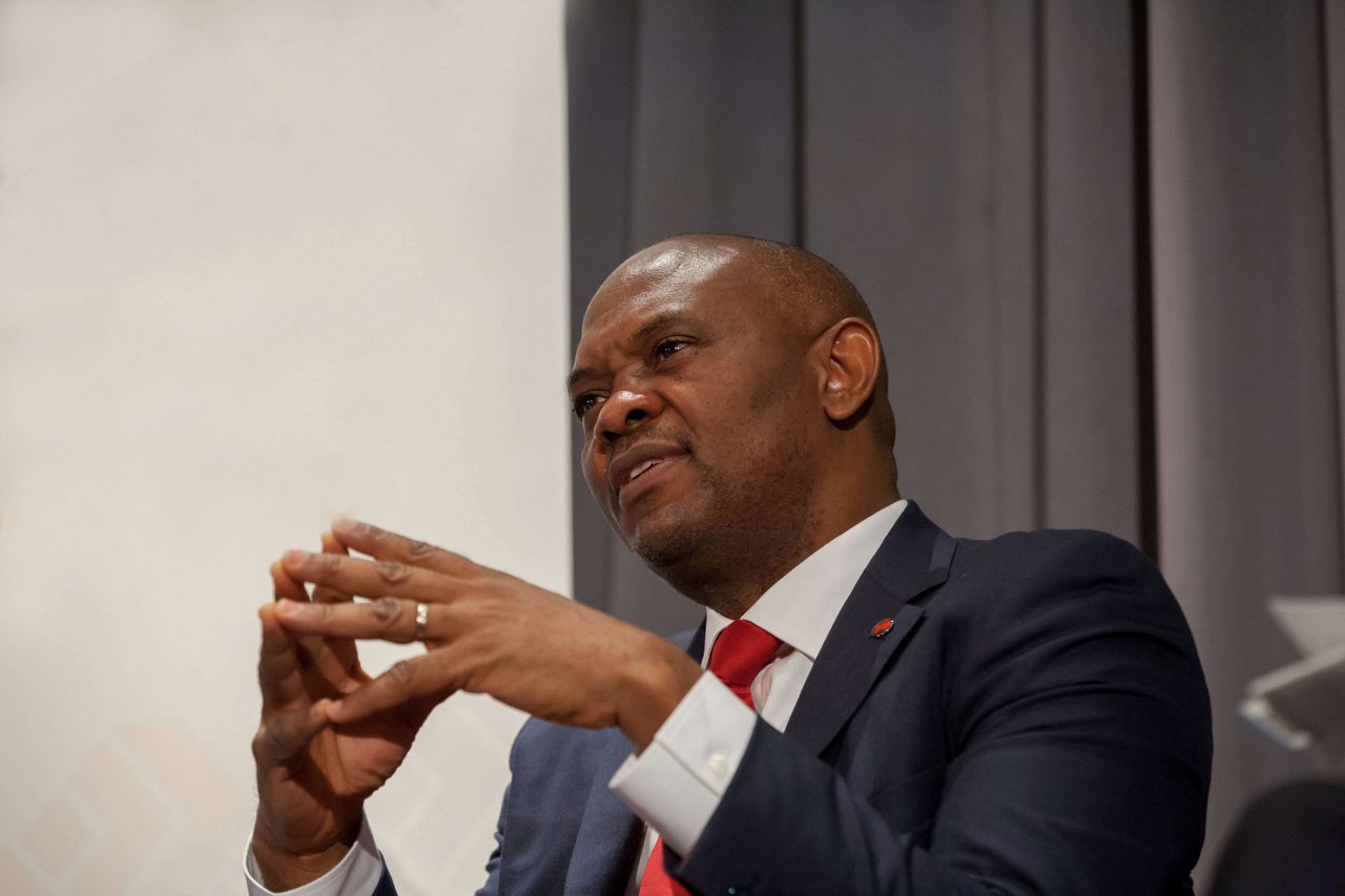 Elumelu Urges Tinubu to Prioritize Security