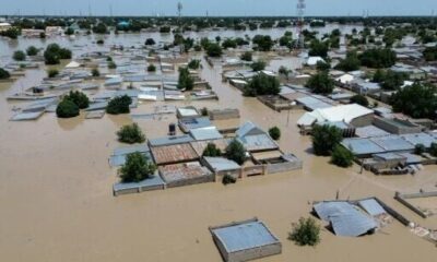 FG Begins Upgrade of Alau Dam to Prevent Flooding in Borno