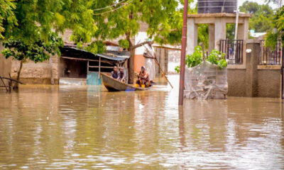 Flood Engulfs Shehu of Borno’s Palace and Maiduguri Areas