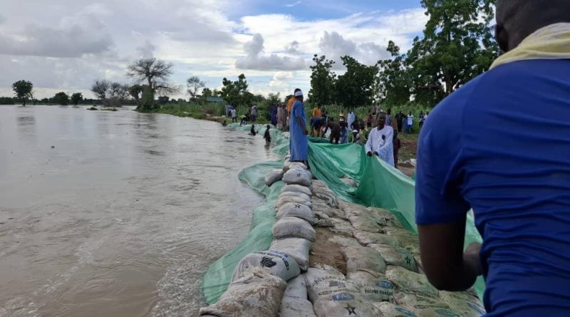 Kebbi Governor Sympathizes with Borno over Flood