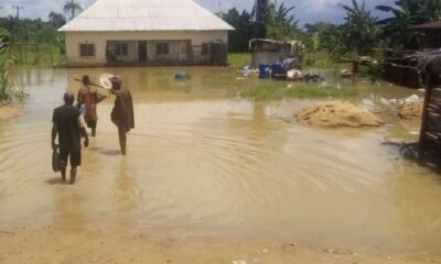 Maiduguri Residents Fear Flooding as River Yedzaram Overflows