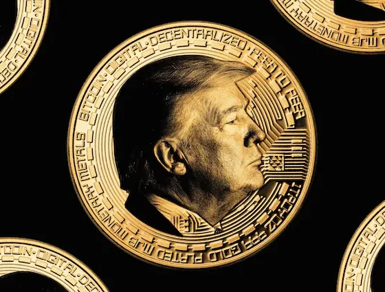 Trump Coin: The Bullish, Bearish and Potential