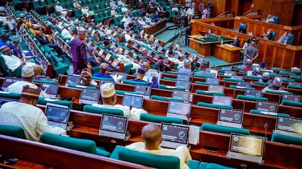 Reps Give IGP Tunji Disu 48 Hours to Produce Alleged Fake Agency DG Adeniyi Adeyemi